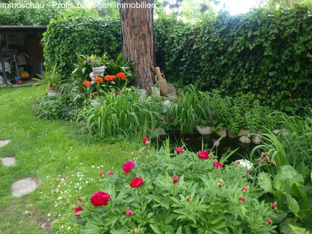 Garten Bild 3