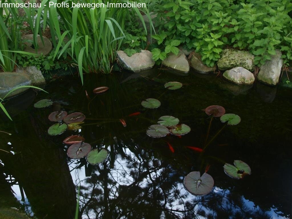 Garten Bild 4