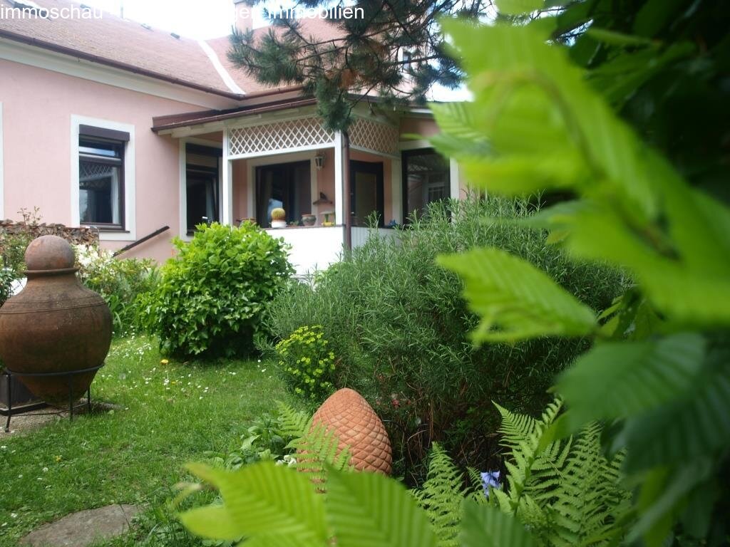 Garten Bild 5