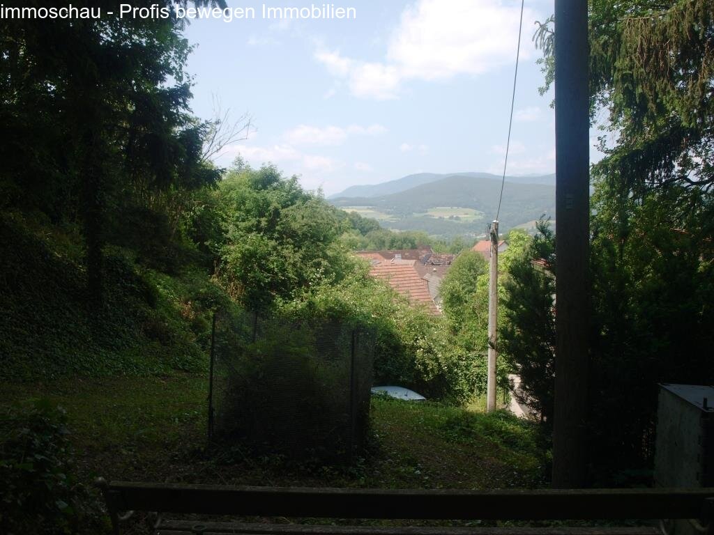 Fernblick
