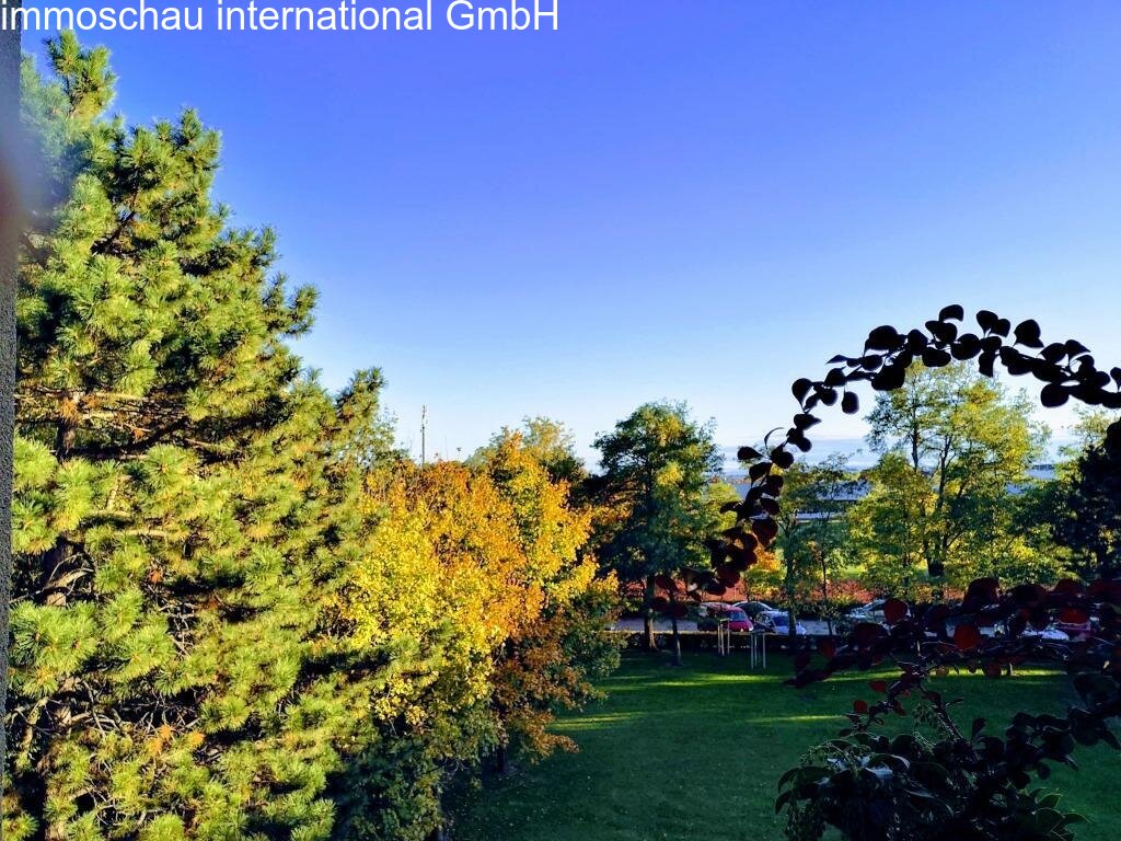 Blick ins Grüne Blick ins Grüne